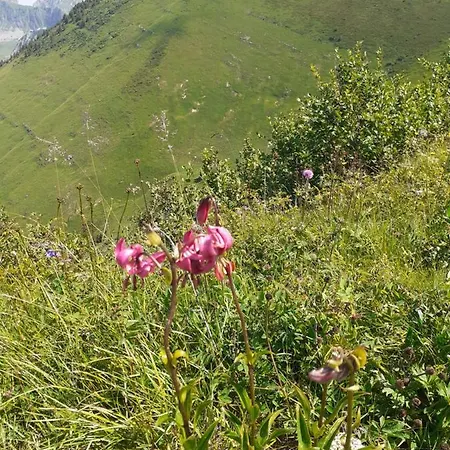 A 150 M Des Thermes Et Du Centre *